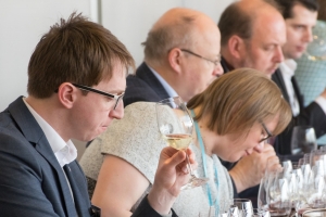 WineFestival2017-6695
