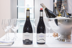 Great Italian Wines-8321
