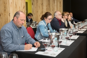 Great_Italian_Wines-8198_1200px